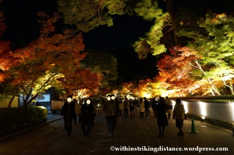 20Nov14 001 Autumn Leaves Eikando Zenrinji Kyoto Kansai Japan