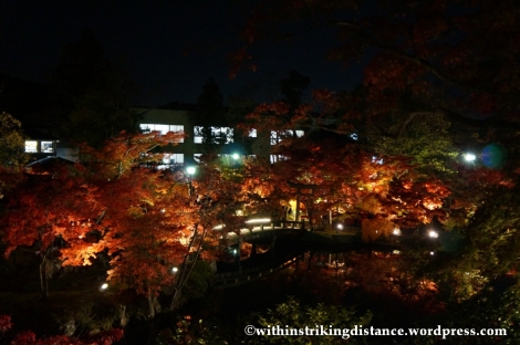 20Nov14 003 Autumn Leaves Eikando Zenrinji Kyoto Kansai Japan