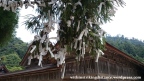 06jul15-021-japan-honshu-shimane-izumo-taisha-shrine